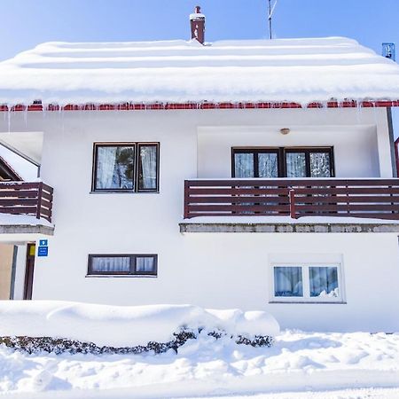 Apartman Japlenski Delnice Luaran gambar